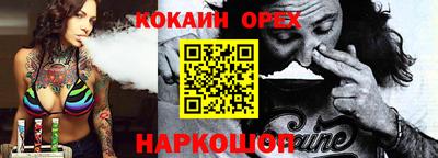 крисы Кингисепп
