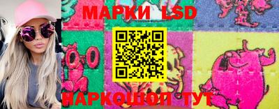 крисы Кингисепп