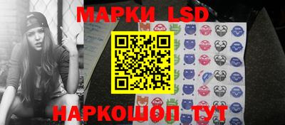 крисы Кингисепп
