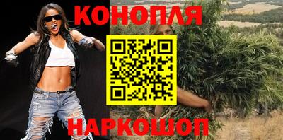 крисы Кингисепп