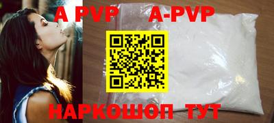 крисы Кингисепп
