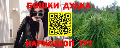 крисы Кингисепп