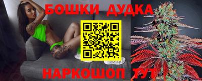 крисы Кингисепп