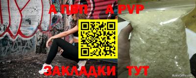 крисы Кингисепп