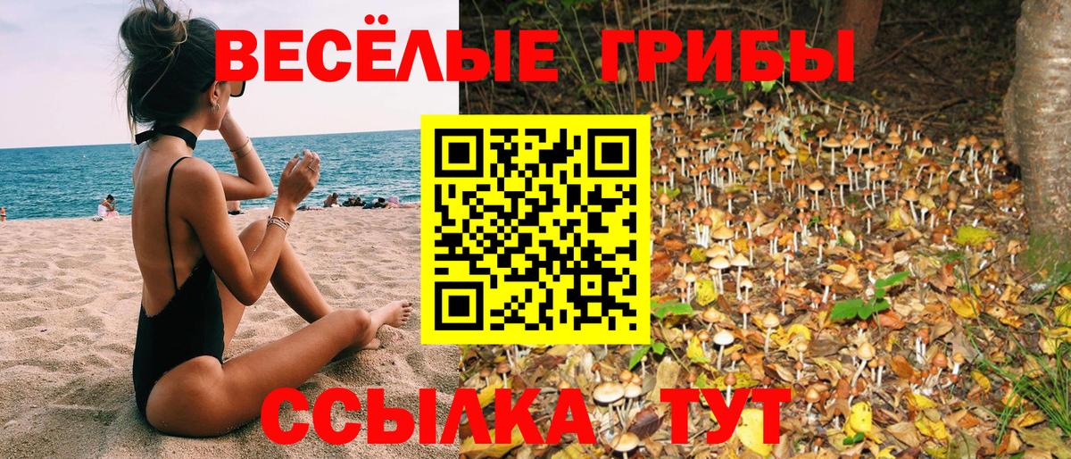 цена наркотик  Вход с VPN  Королёв  Галлюциногенные грибы прущие грибы 